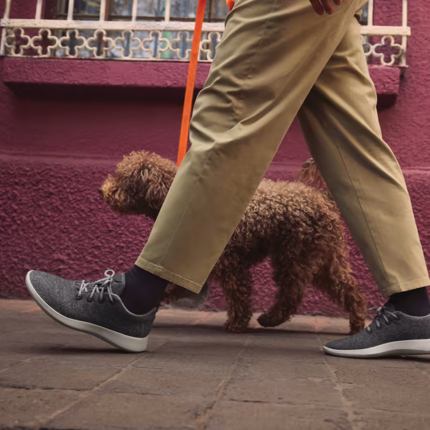 Allbirds Wool Runners